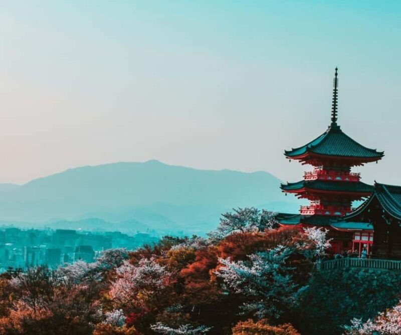 Kyoto: Best Food Tour With a Guide - Exploring Kyoto’s Culinary and Cultural Charm