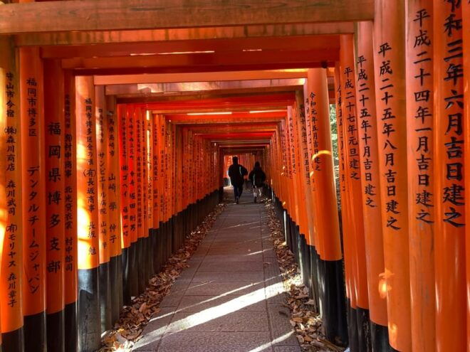 Kyoto: Best of Kyoto Half Day Private Tour - Optional Stops