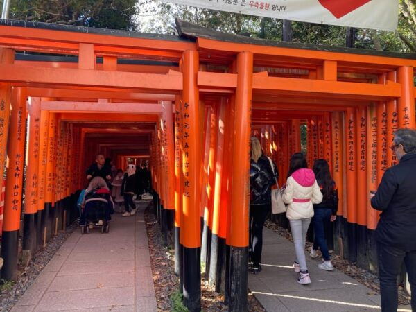 Kyoto: Best of Kyoto Half Day Private Tour - Customization Options