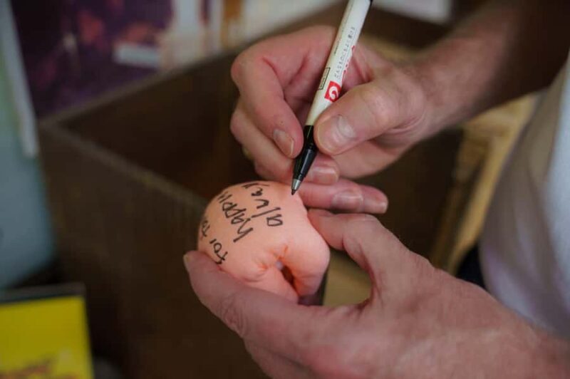 Kyoto Bus Tour: Fushimi, Kiyomizu, Kinkaku-ji & Arashiyama - Final Thoughts