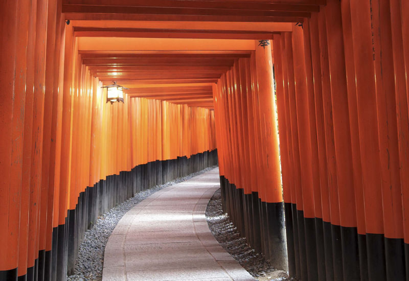 Kyoto Bus Tour: Fushimi, Kiyomizu, Kinkaku-ji & Arashiyama - The useful details at a glance