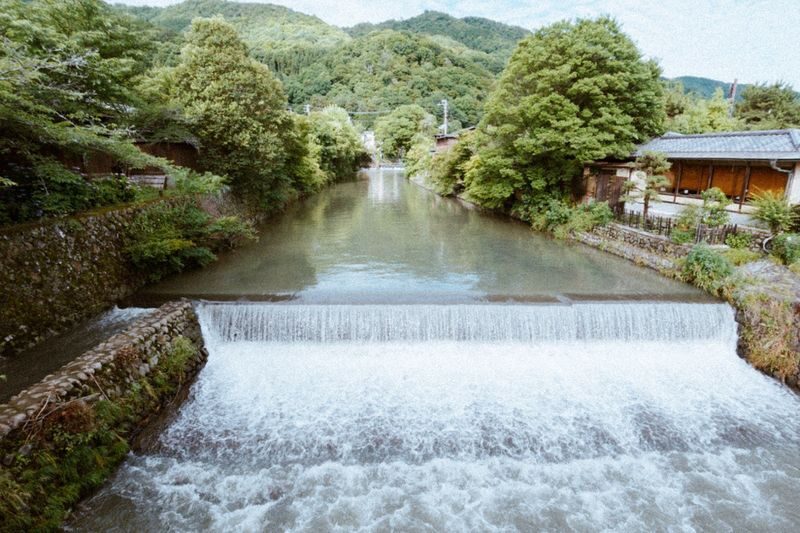 Kyoto Bus Tour: Fushimi, Kiyomizu, Kinkaku-ji & Arashiyama - Who should book this Kyoto bus tour?