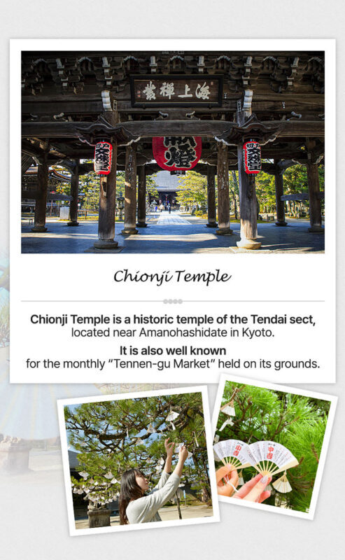 Kyoto by the Sea: Amanohashidate & Ine no Funaya Bus Tour from Osaka - Lunch and the small details that shape the visit