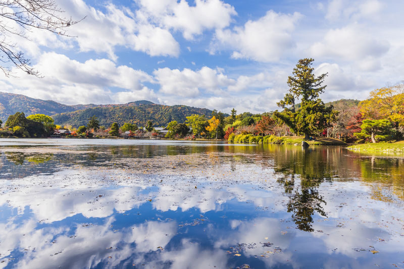 Kyoto City, Arashiyama & Sagano Half Day Guided Walking Tour - Daikakuji and Osawa Pond’s imperial setting