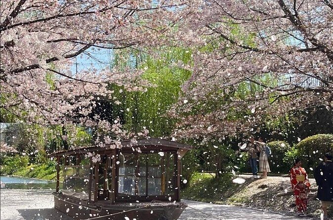 Kyoto City Cherry Blossom Private Sightseeing Tour - Nijo Castle
