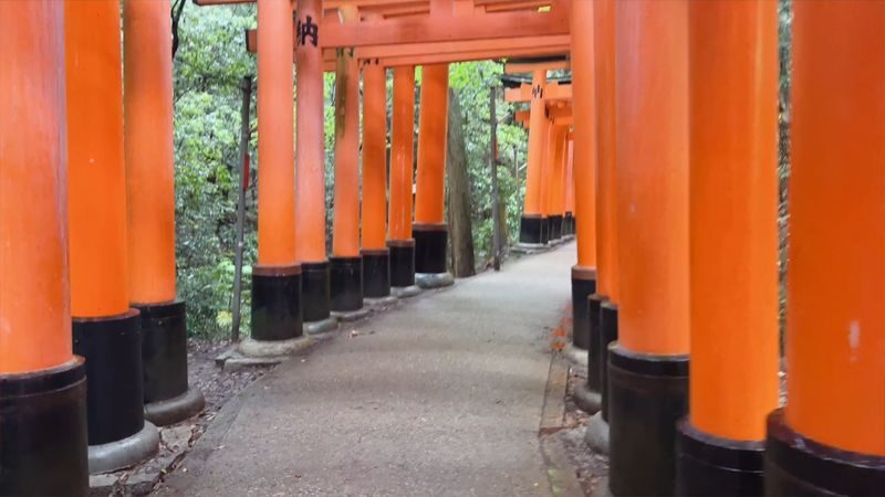 Kyoto City, Gion, Kiyomizudera, & Fushimi Inari Taisha Half-Day Tour - Key points to know