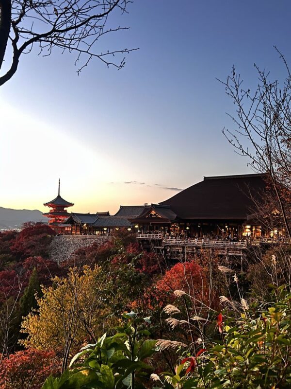 Kyoto City, Gion, Kiyomizudera, & Fushimi Inari Taisha Half-Day Tour - A half-day route through Kyoto’s contrasts