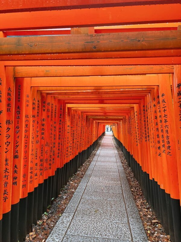 Kyoto City, Gion, Kiyomizudera, & Fushimi Inari Taisha Half-Day Tour - Fushimi Inari Taisha: another major stop on foot