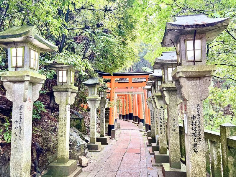 Kyoto City, Gion, Kiyomizudera, & Fushimi Inari Taisha Half-Day Tour - What the price does and does not tell you