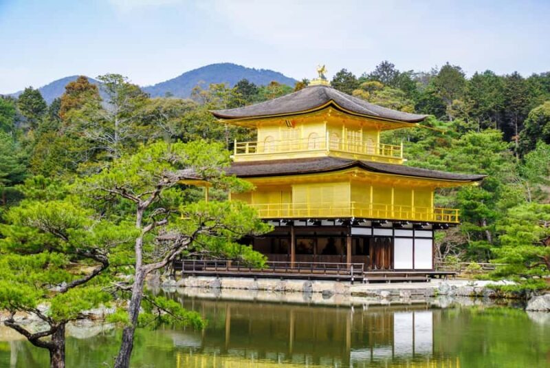 Kyoto: City Highlights Private Tour - An In-Depth Look at the Tour Experience
