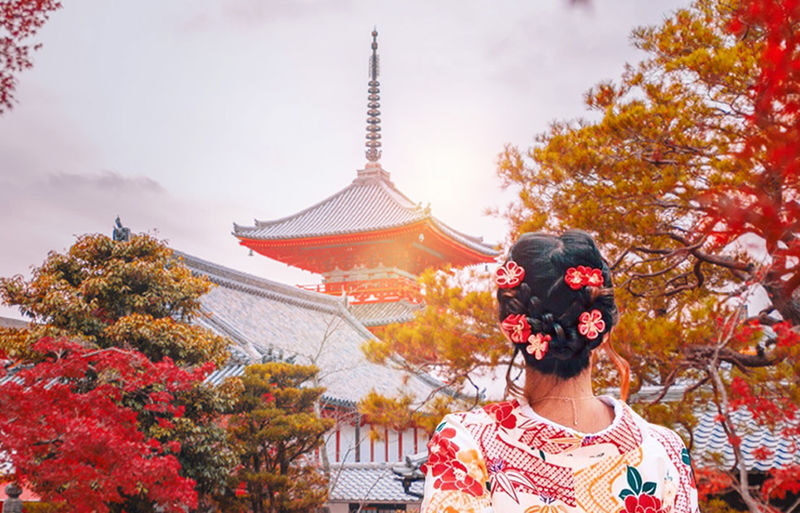 Kyoto Classic Deep Dive: Kinkaku-ji & Kiyomizu-dera Temple & Ninenzaka & Gion/Hanamikoji Street & Yasaka Shrine & Fushimi Inari-taisha Shrine In-Depth Slow Travel Day Tour (Departure from Osaka/Kyoto) - At a glance