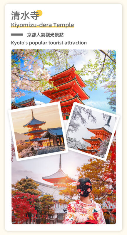 Kyoto Classic Deep Dive: Kinkaku-ji & Kiyomizu-dera Temple & Ninenzaka & Gion/Hanamikoji Street & Yasaka Shrine & Fushimi Inari-taisha Shrine In-Depth Slow Travel Day Tour (Departure from Osaka/Kyoto) - Price, pace and practical details