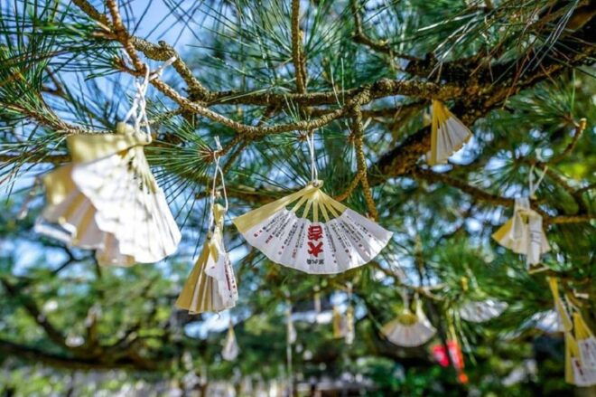 Kyoto Coast, Amanohashidate & Ine Bay One Day Trip - Chionji Temple Visit
