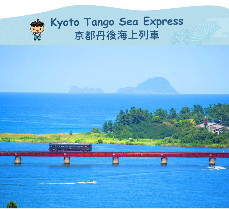 Kyoto Coast Fairytale Journey: Sea Train & Amanohashidate & Ine Funaya One-Day Tour - Ine: boathouses built right over the bay
