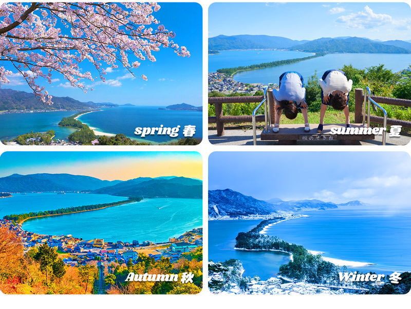 Kyoto Coast Fairytale Journey: Sea Train & Amanohashidate & Ine Funaya One-Day Tour - Who should book this day trip?
