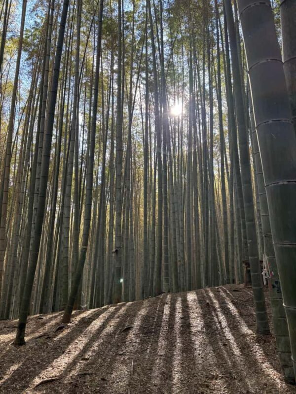 Kyoto Craftsmanship: Bamboo Chopstick Making Workshop - FAQ
