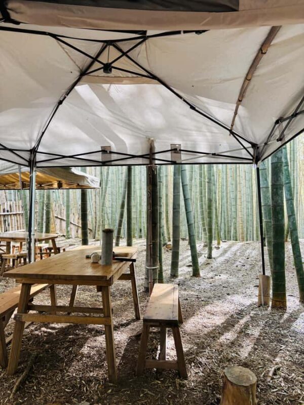 Kyoto Craftsmanship: Bamboo Chopstick Making Workshop - Good To Know