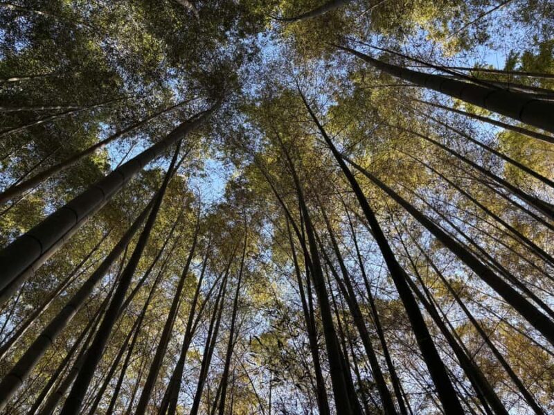 Kyoto Craftsmanship: Bamboo Chopstick Making Workshop - FAQ