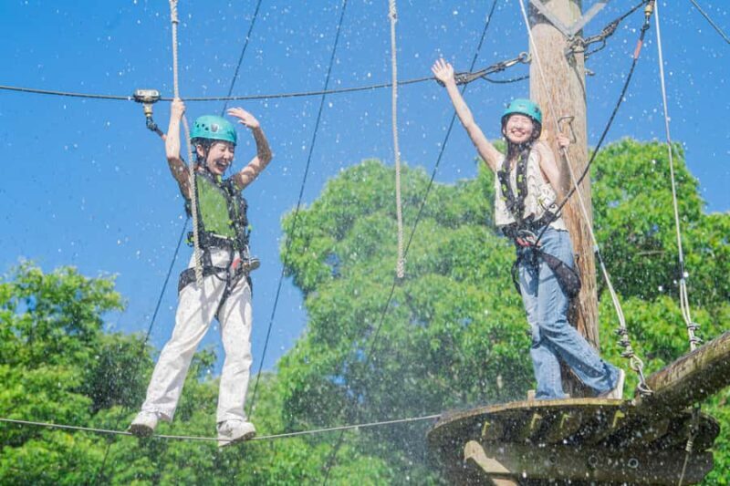 Kyoto: Crayon Shin-chan at Nijigen no Mori Entry & Transfer - What to Expect at the Park: Attractions and Highlights