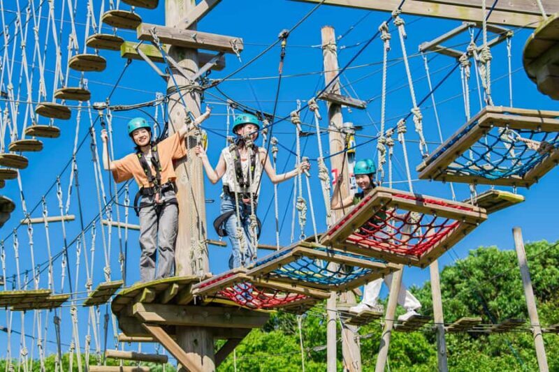 Kyoto: Crayon Shin-chan at Nijigen no Mori Entry & Transfer - Practicalities and Safety Considerations