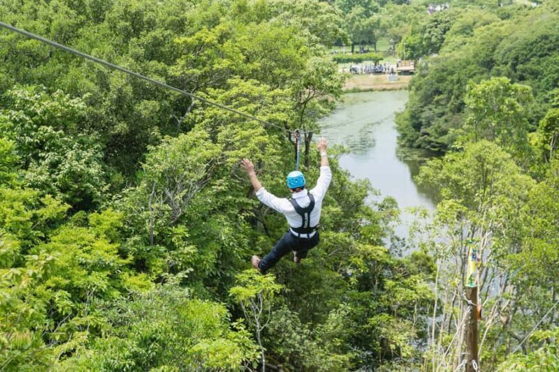 Kyoto: Crayon Shin-chan at Nijigen no Mori Entry & Transfer - Final Thoughts