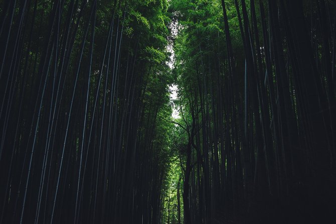 Kyoto Custom Full Day Tour - Pricing and Booking Details