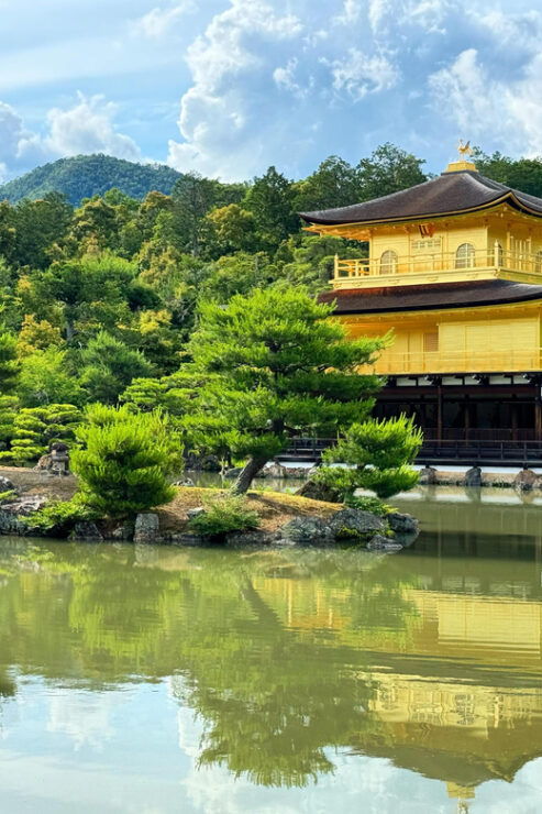 Kyoto Custom Private Car Tour With Local Guide - Good To Know