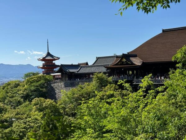 Kyoto Custom Private Car Tour With Local Guide - Why Choose a Private Tour