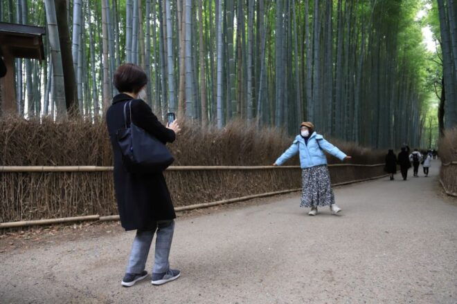 Kyoto Custom Private Walking Tour With Licensed Guide (4/8h) - Important Participant Information