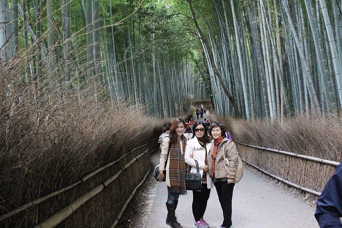 KYOTO Custom Tour With Private Car and Driver (Max 9 Pax) - Tour Price and Booking Details