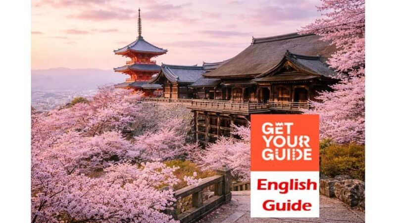 Kyoto: Customizable Early-Access Tour with Guide & Car - Who Is This Tour Best For?