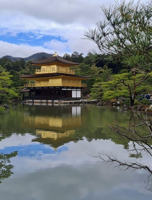 Kyoto: Customized One Day Car Tour - Flexible Itinerary Options