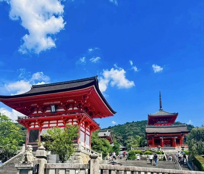 Kyoto: Customized One Day Car Tour - Booking and Cancellation Policy