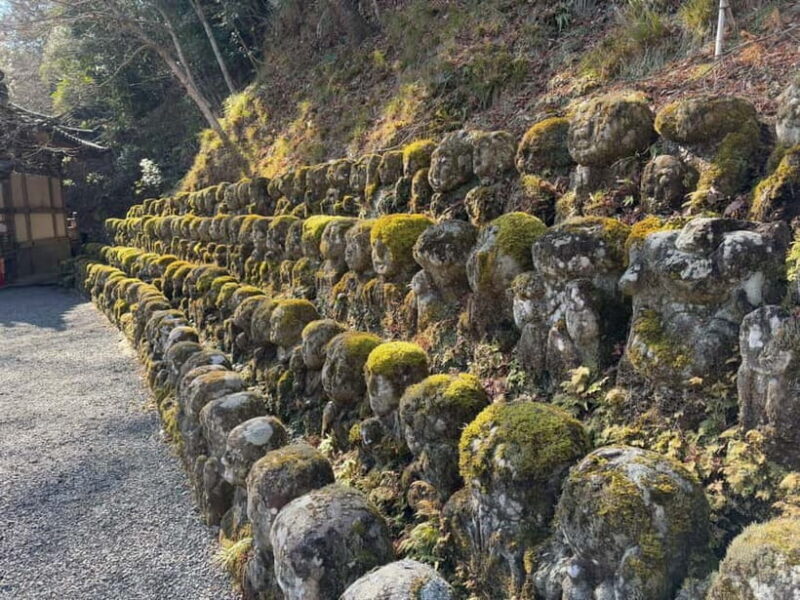 Kyoto Customized Private Tour: See Top Attractions in 1 Day - Who Is This Tour Perfect For?