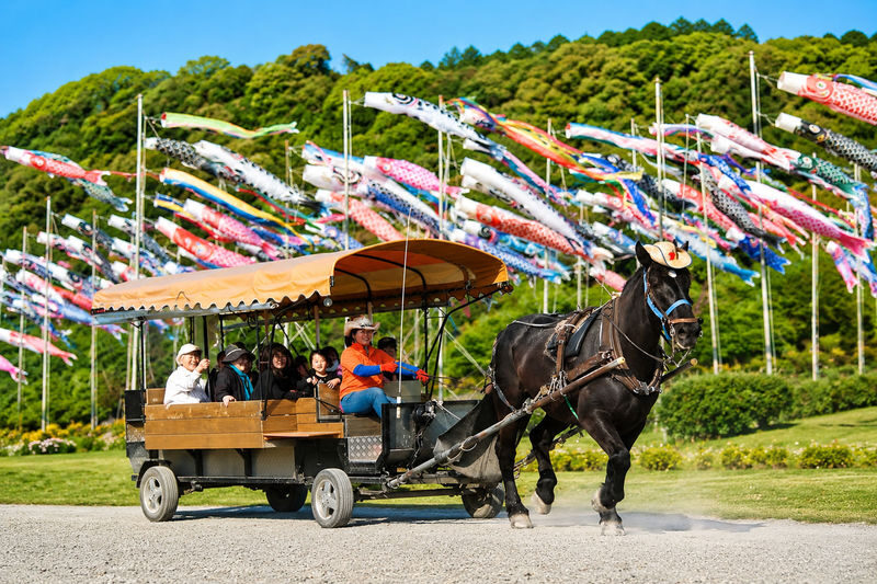 Kyoto Day Tour: Kyoto Carriage & Sagano Romantic Train & Hozugawa River Cruise - What to know before you book