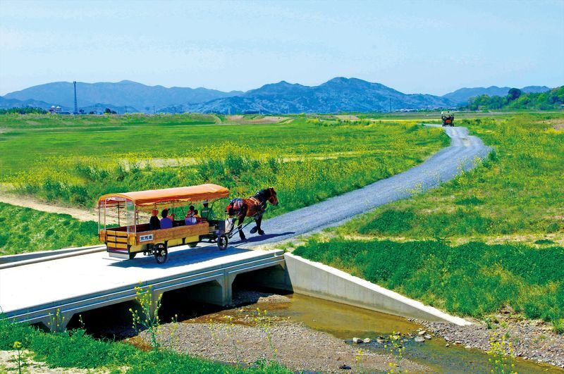 Kyoto Day Tour: Kyoto Carriage & Sagano Romantic Train & Hozugawa River Cruise - A rail ride above the Hozugawa