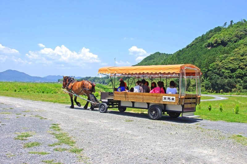 Kyoto Day Tour: Kyoto Carriage & Sagano Romantic Train & Hozugawa River Cruise - What a guide adds, and what can vary