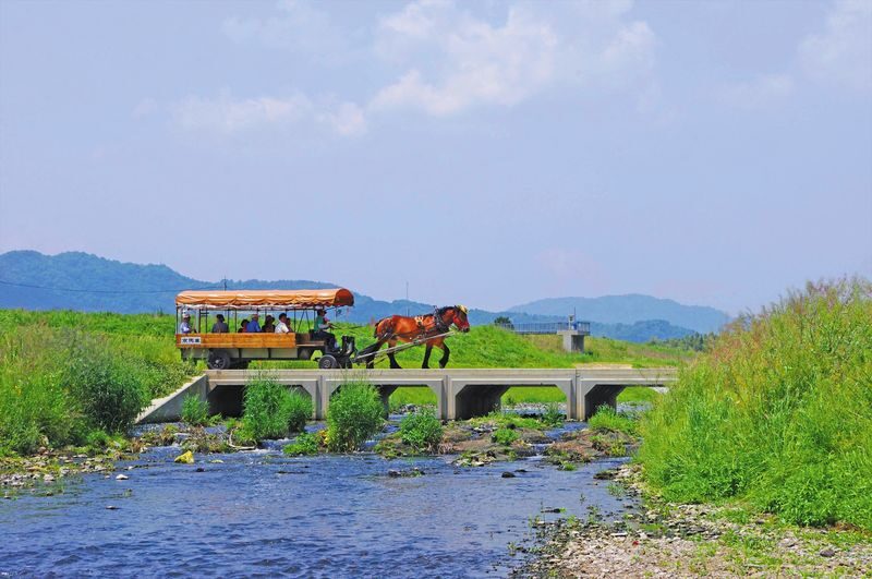 Kyoto Day Tour: Kyoto Carriage & Sagano Romantic Train & Hozugawa River Cruise - Weather, cancellations, and refund questions