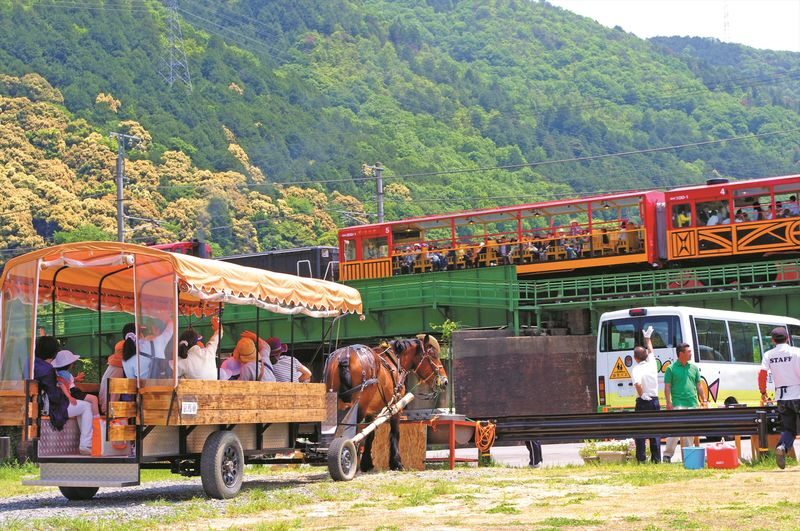 Kyoto Day Tour: Kyoto Carriage & Sagano Romantic Train & Hozugawa River Cruise - Is the $94.60 starting price good value?