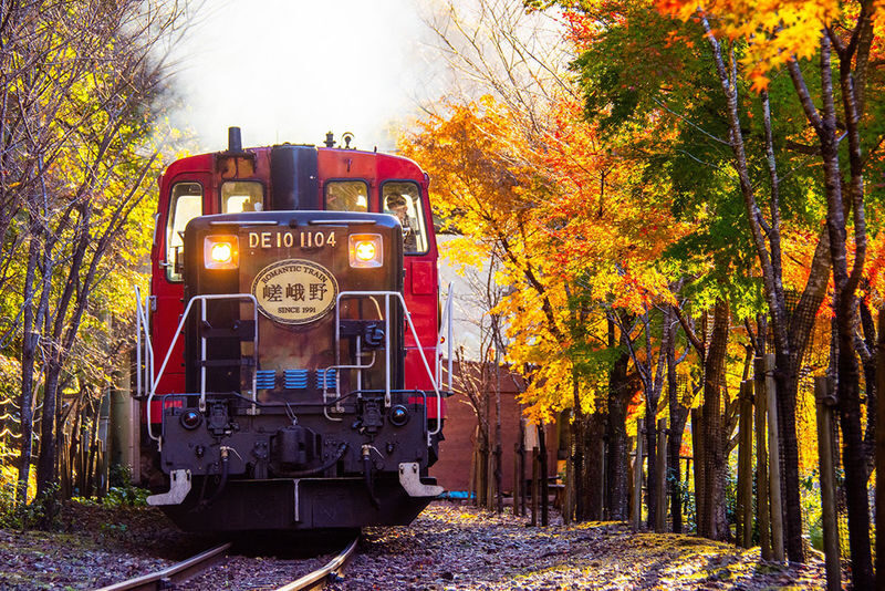 Kyoto Day Tour: Kyoto Carriage & Sagano Romantic Train & Hozugawa River Cruise - Who will enjoy this day most?