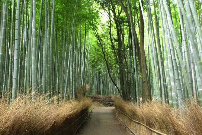 Kyoto Day Tour Tenryu-ji Temple Arashiyama Grove and Kinkaku-ji - Directions and Tips