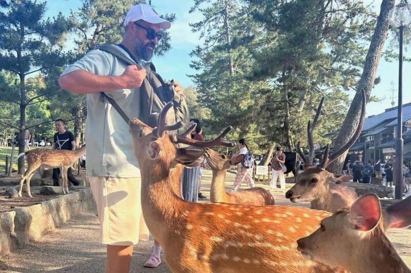 Kyoto Day Tour with an Experienced Local English Guide - FAQ