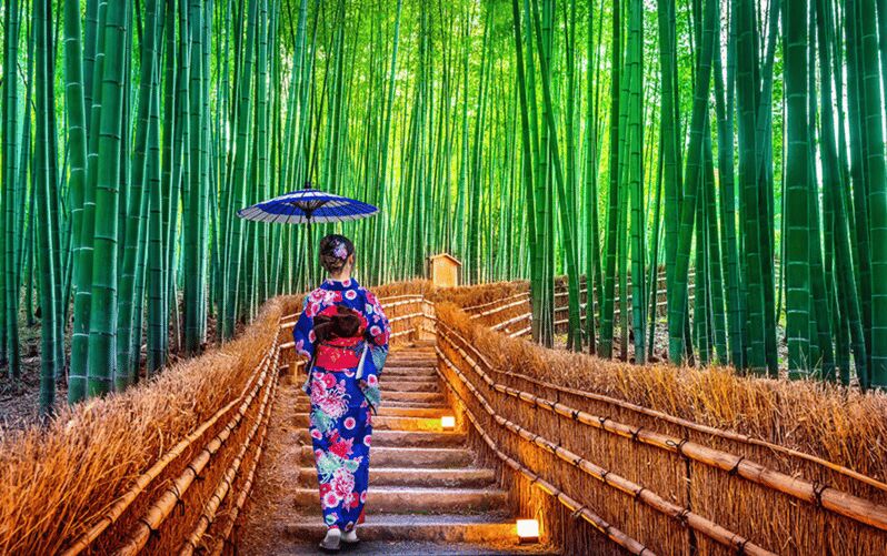 Kyoto Day Tour with Certified Tour Guide & Luxury vehicle - Good To Know