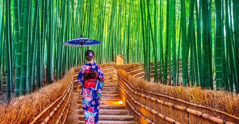 Kyoto Day Tour with Certified Tour Guide & Luxury vehicle - An Overview of the Tour Experience