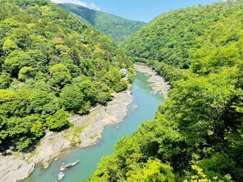 Kyoto Day Tour with Certified Tour Guide & Luxury vehicle - Practical Considerations