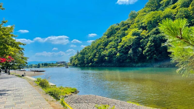 Kyoto Day Tour with Certified Tour Guide & Luxury vehicle - The Value for Money