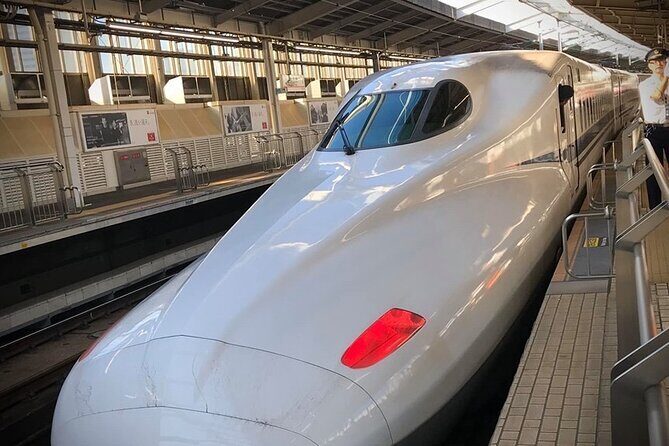 Kyoto Day Trip from Tokyo by Bullet Train Private Guided Tour - The Journey Begins at Tokyo Station