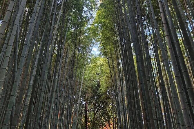 Kyoto Day Trip from Tokyo by Bullet Train Private Guided Tour - Final Thoughts