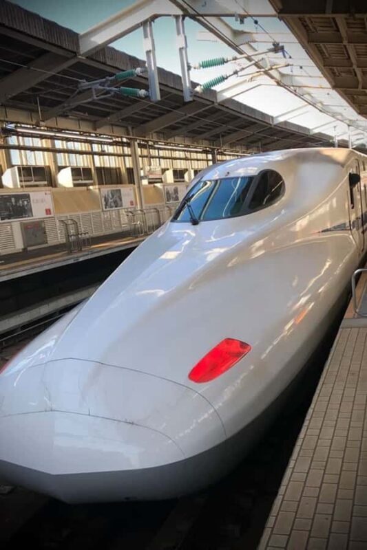 Kyoto Day Trip from Tokyo by Bullet Train Private Tour - Good To Know