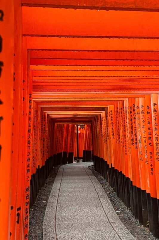 Kyoto Day Trip from Tokyo by Bullet Train Private Tour - Lunch and Shopping at Nishiki Market